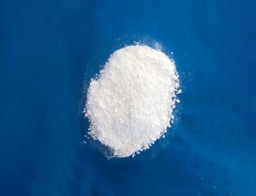 無水蘑菇视频大全免费高清版下载
